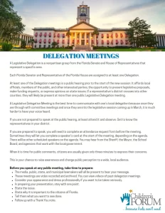 Delegation Meetings_Handout_001