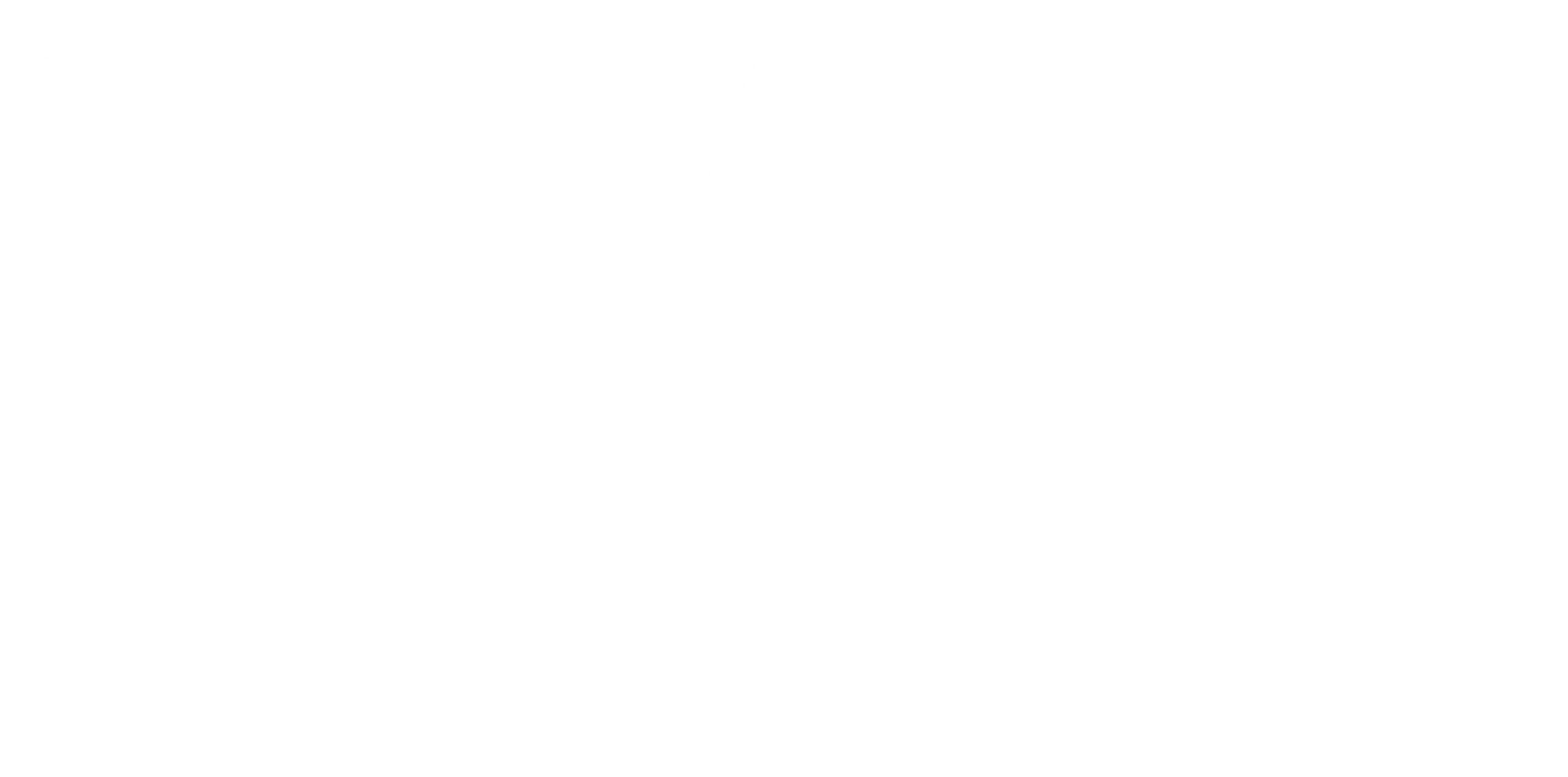 TEACH_FLORIDA_LOGO_WHITE